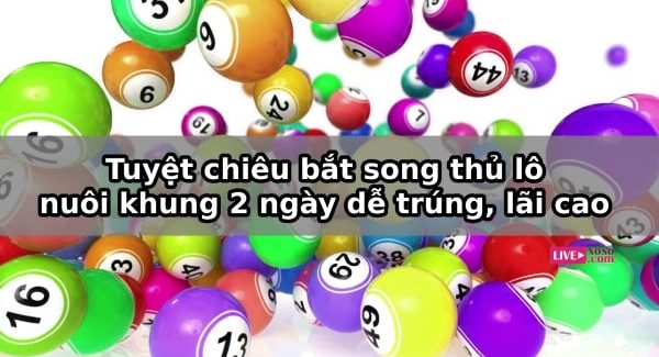 Kinh nghiệm nuôi lô theo khung 2 ngày